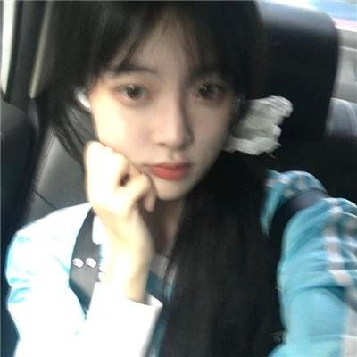 鲨人树儿